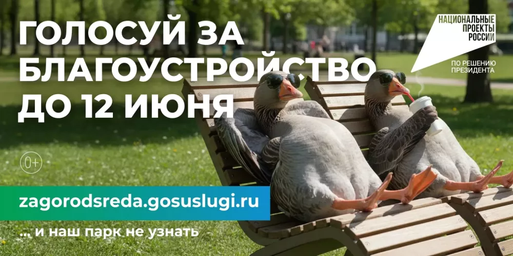 Голосуй за благоустройство до 12 июня