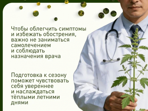 Как подготовиться к пику аллергии