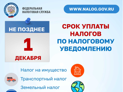 Срок уплаты по налоговому уведомлению
