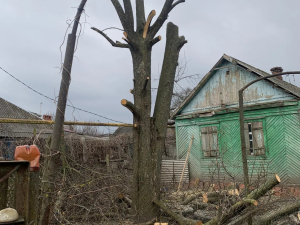 обрезку аварийных деревьев