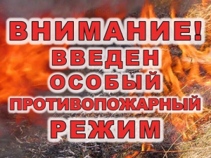 Введён особый противопожарный режим с 22.06.2026 г.