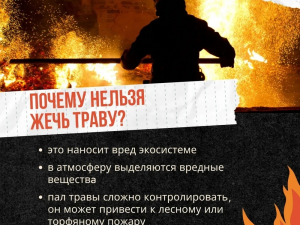 Поджог травы - опасен!