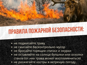 Поджог травы - опасен!