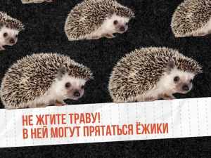 Поджог травы - опасен!