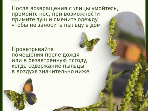Как подготовиться к пику аллергии