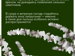 Как подготовиться к пику аллергии