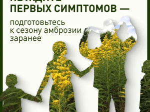 Как подготовиться к пику аллергии