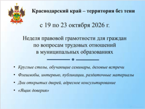 Информационные материалы по легализации трудовых отношений и снижению теневой занятости