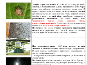 Особо опасный вредитель! Мраморный клоп!